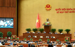 Quốc hội xem xét Luật Thuế thu nhập cá nhân (sửa đổi)