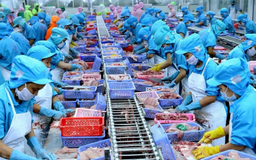 Xuất khẩu nông, lâm, thủy sản vượt 58 tỷ USD