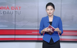 Bản tin Nhà đất và đầu tư | 04/11/2025