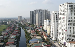 Đất nền hạ nhiệt, dòng tiền chảy về chung cư