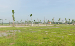 Đề xuất cấm đấu giá đất dài hạn với người bỏ cọc