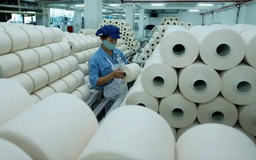 Sợi Thế Kỷ bị truy thu hơn 444 triệu đồng tiền thuế