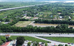 Xử lý vi phạm, khai thác hiệu quả đất bãi sông Hồng