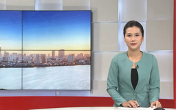 Chương trình Thời sự 11h30 | 06/11/2025