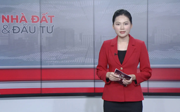 Bản tin Nhà đất và đầu tư | 06/11/2025