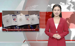 Bầu cử địa phương bộc lộ sự chia rẽ tại Mỹ | Nhìn ra thế giới | 06/11/2025