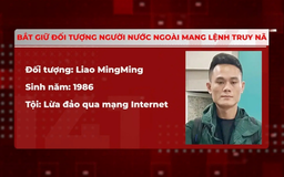 Bắt giữ đối tượng người nước ngoài mang lệnh truy nã