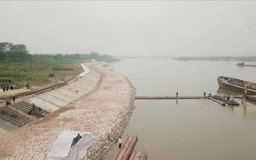 Báo cáo tiến độ dự án nông nghiệp theo hai mốc thời gian