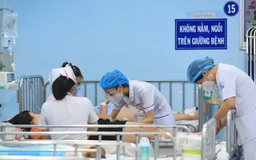 Hà Nội có gần 500 ca mắc sốt xuất huyết tuần qua