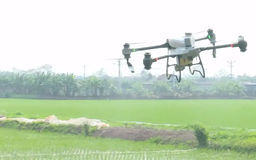 Chuyển đổi số và đổi mới sáng tạo - Động lực bứt phá cho nông nghiệp | Phóng sự | 07/11/2025