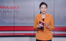 Bản tin Nhà đất và đầu tư | 07/11/2025