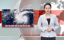 Bão tàn khốc hơn do biến đổi khí hậu | Nhìn ra thế giới | 07/11/2025