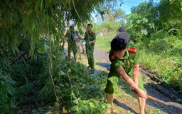 Lực lượng vũ trang giúp dân khắc phục hậu quả sau bão