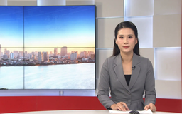 Chương trình Thời sự 11h30 | 08/11/2025