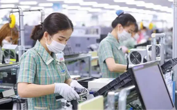 Hơn 190.000 doanh nghiệp rời bỏ thị trường từ đầu năm 2025