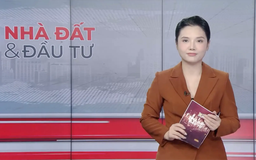 Bản tin Nhà đất và đầu tư | 08/11/2025