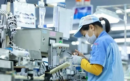 Xuất khẩu 10 tháng đạt gần 391 tỷ USD