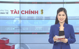 Bản tin Kinh tế Tài chính | 08/11/2025