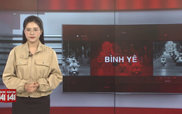 Bản tin 141 | 08/11/2025