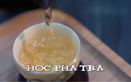 Học pha trà | Nhịp sống Hà Nội | 08/11/2025