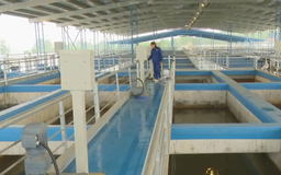 Hà Nội xây dựng quy chuẩn kỹ thuật nước sạch sinh hoạt