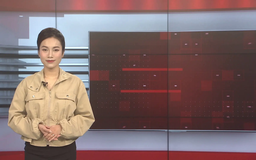 Bản tin 141 | 08/11/2025