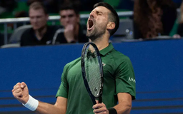 Novak Djokovic rút lui khỏi ATP Finals