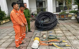 Bắt nhóm đối tượng giả thợ điện trộm cắp tài sản