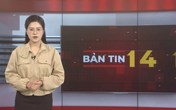 Bản tin 141 | 07/11/2025