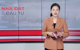 Bản tin Nhà đất và đầu tư | 09/11/2025