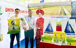 ST25 lần thứ 3 được vinh danh là gạo ngon nhất thế giới
