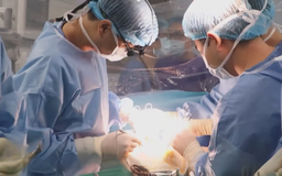 300 ca ghép gan – hành trình nối dài sự sống