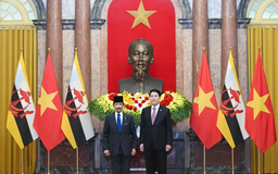 Quốc vương Brunei thăm cấp Nhà nước tới Việt Nam
