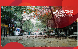 Đông về trong nỗi nhớ mùa thu