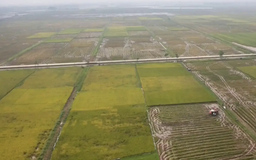 Nhiều chính sách hỗ trợ chuyển đổi sang đất ở