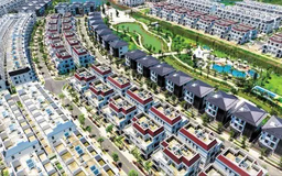 Chủ đầu tư Lavida Residences không liên quan nợ 460 tỷ đồng tại Agribank