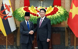 Việt Nam - Brunei mở rộng hợp tác dầu khí và Halal