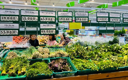 Nỗ lực bình ổn giá rau xanh