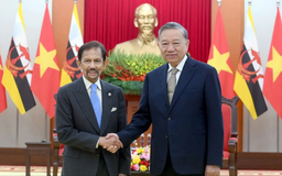 Tổng Bí thư Tô Lâm tiếp Quốc vương Brunei