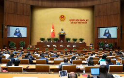 Quốc hội thông qua Luật Phòng bệnh