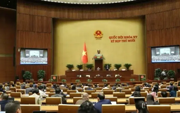 Cấm dùng AI giả mạo hình ảnh