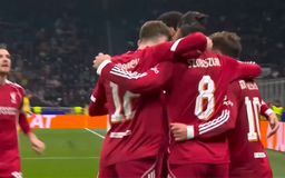 Tổng hợp kết quả UEFA Champions League