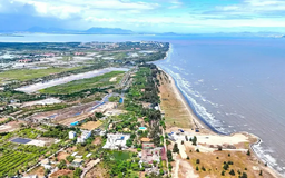 Đô thị ven biển và xu hướng xây dựng xanh