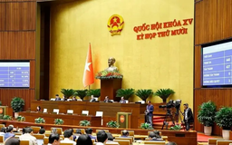 Trình phương án cơ quan báo chí chủ lực đa phương tiện tại Hà Nội, TP.HCM