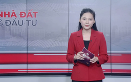 Bản tin Nhà đất và đầu tư | 10/12/2025