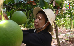 Những bông hoa thầm lặng giữa đời thường | Người tốt quanh ta | 11/12/2025