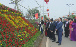 Quảng bá làng nghề tích giang từ Festival hoa, cây cảnh