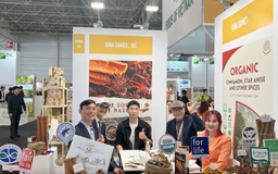 Xuất khẩu quế, hồi ra thị trường quốc tế | Con đường doanh nhân | 11/12/2025