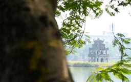 Thở cùng thành phố