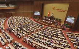Kỳ họp thông qua số lượng luật, Nghị quyết kỷ lục